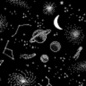 Meet your Posher, Palmiche